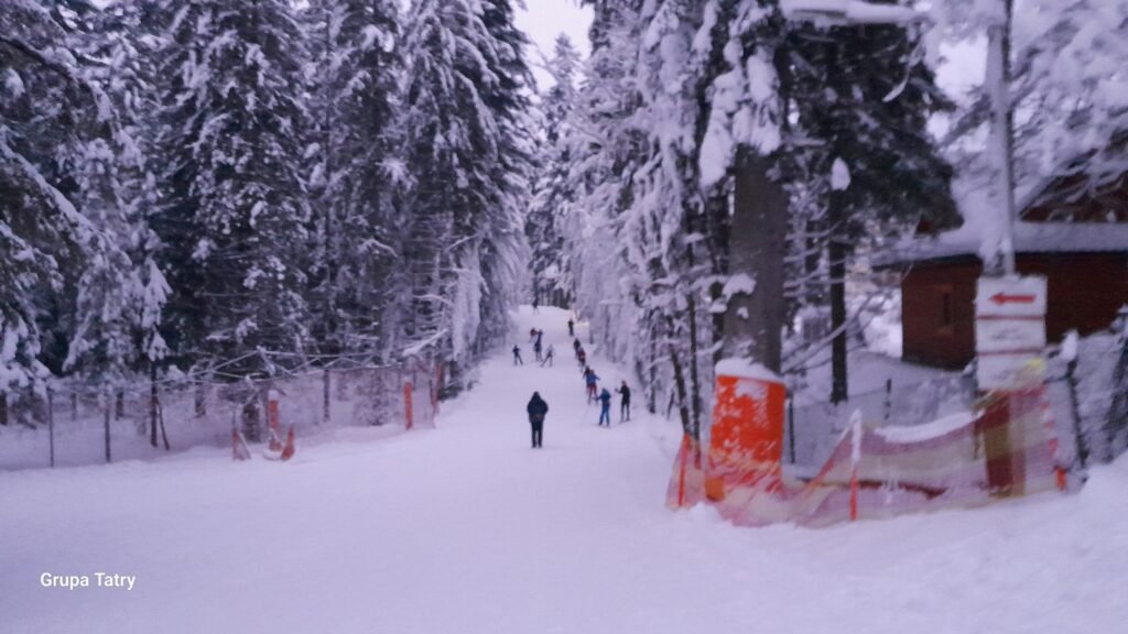 May be an image of 2 people and people skiing